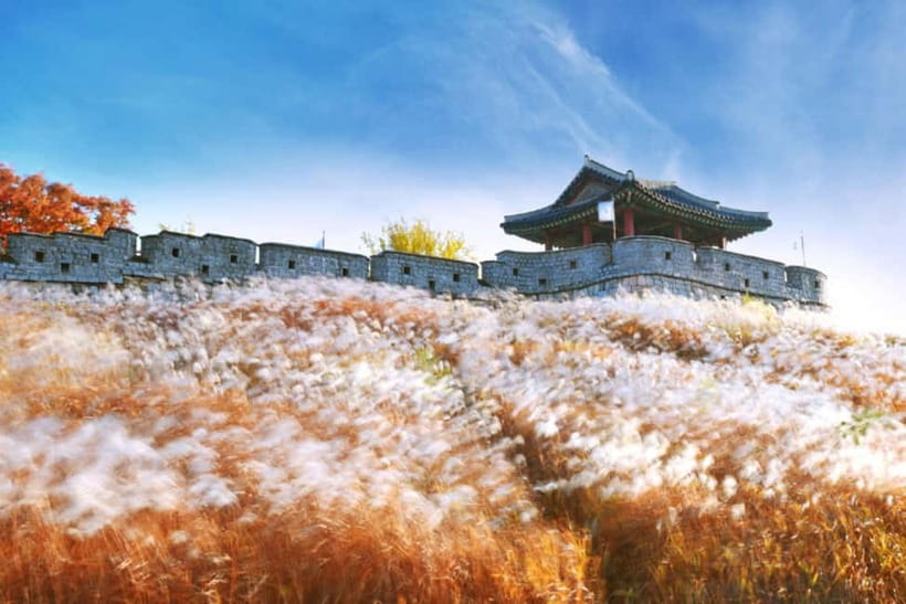 Seoul: Suwon Hwaseong Fortress & Korean Folk Village Tour - Guides Make or Break the Day, and This One Has Strong Odds