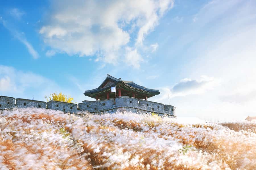 Seoul : Suwon Hwaseong Fortress+Starfield Library+Waujeongsa - Key highlights you should care about