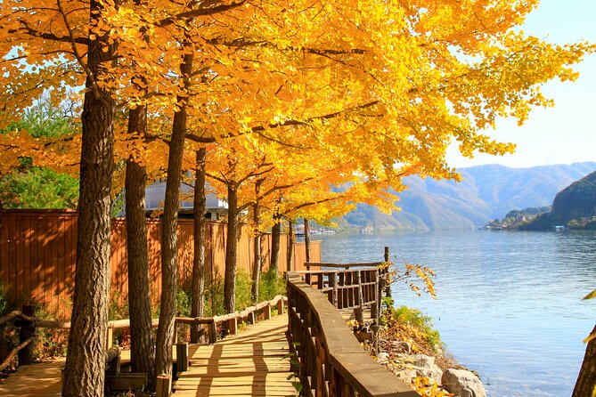 Seoul to/from Nami Island: Round trip Shuttle Bus Service - Why This Seoul to Nami Island Shuttle Feels Worth It