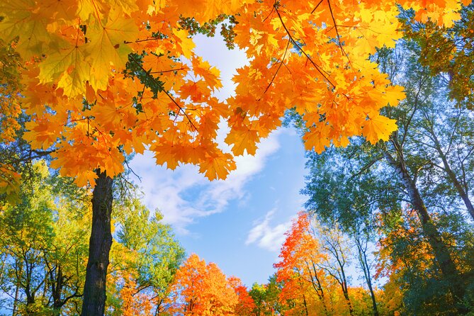 Seoul to/from Nami Island: Round trip Shuttle Bus Service - The Reminder Email: Small Detail, Big Difference