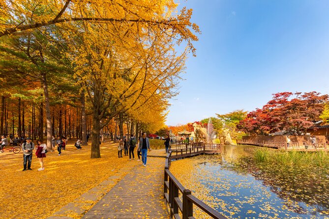 Seoul to/from Nami Island: Round trip Shuttle Bus Service - Nami Island: The Tree-Lined Walks People Come For