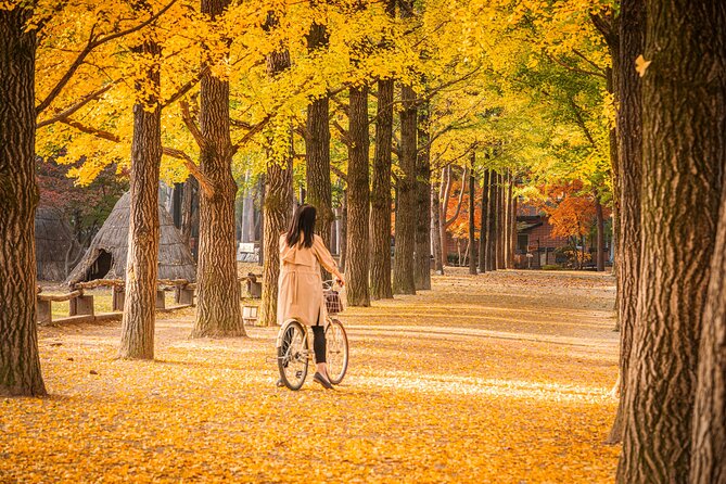 Seoul to/from Nami Island: Round trip Shuttle Bus Service - Ferry and Zipline Tickets: Stay Flexible On Arrival