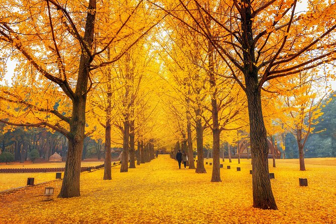 Seoul to/from Nami Island: Round trip Shuttle Bus Service - Price and Value: What $23.81 Buys You