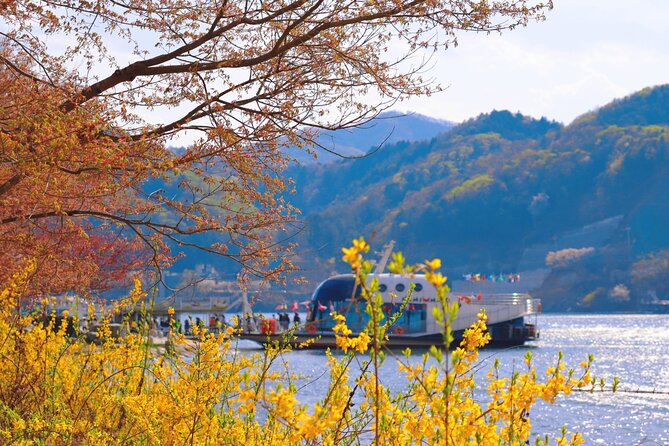 Seoul Vicinity 5 in 1: Nami Island, Garden of Morning Calm & More - Getting There Smoothly From Seoul, With Two Start Options