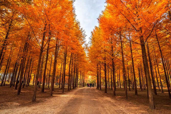 Seoul Vicinity 5 in 1: Nami Island, Garden of Morning Calm & More - Timing Reality Check: Why This Day Can Feel Packed