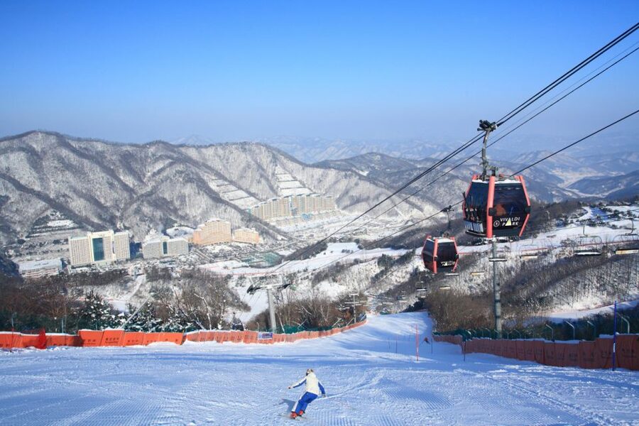 Seoul: Vivaldi Park Winter Ski with Nami Island Day Tour - Quick Hits