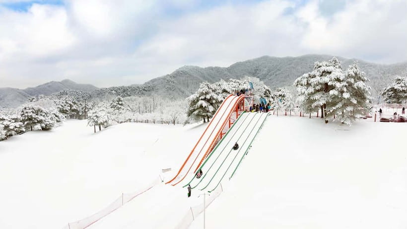 Seoul: Vivaldi Park Winter Ski with Nami Island Day Tour - Value and Costs: Is This a Good Deal for a Full Winter Day?