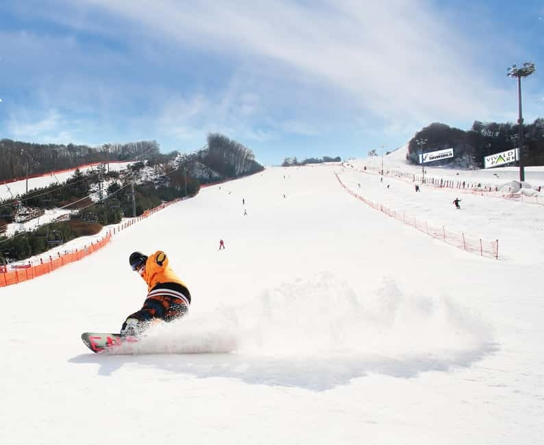 Seoul: Vivaldi Park Winter Ski with Nami Island Day Tour - Small Print That Can Save Your Day: Timing, Weather, and Safety