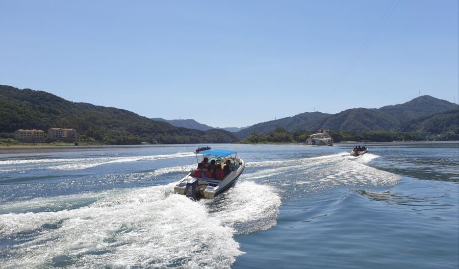 Seoul: Vivaldi Park Winter Ski with Nami Island Day Tour - Who This Tour Fits Best (and Who Might Prefer Something Else)