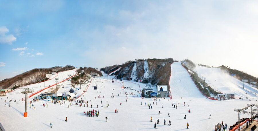 Seoul: Vivaldi Park Winter Ski with Nami Island Day Tour - FAQ
