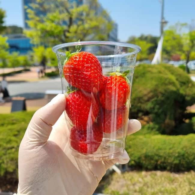 Seoul: Winter Day Tour in Pocheon (+Strawberry Picking) - The Seoul-to-Pocheon day plan, and how it actually feels
