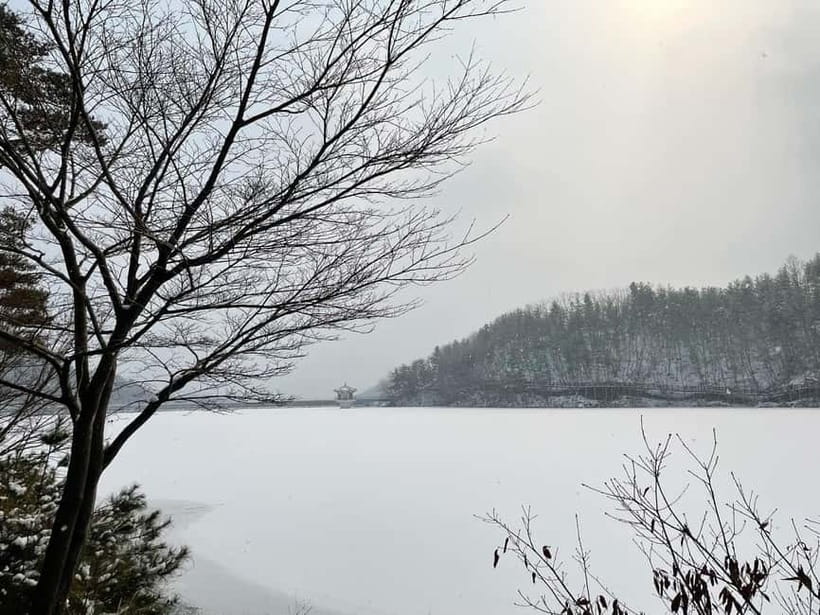 Seoul: Winter Day Tour in Pocheon (+Strawberry Picking) - Dally.On: a self-guided warm-up hour