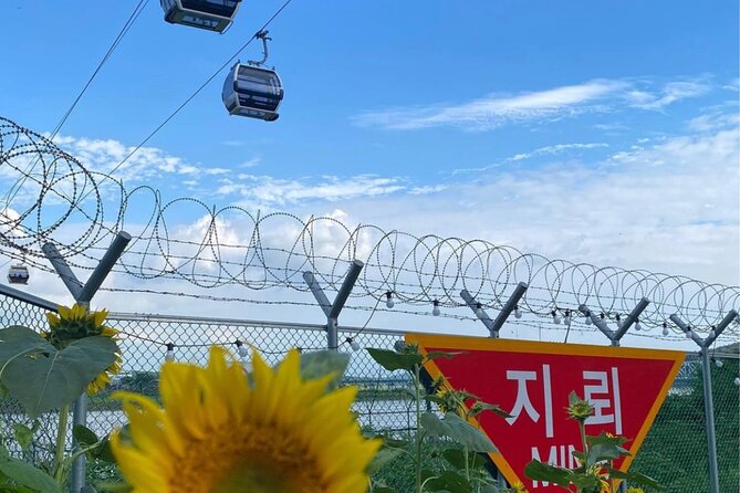 Signature DMZ Tour: Exclusive Defector Talk & Suspension Bridge - The Third Tunnel: what you will see, what you should expect physically