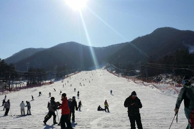 Ski Tour to Jisan Ski Resort from Seoul - What You Really Get With Each Option: Snow Tour, Snow Slide, Or Ski Lesson