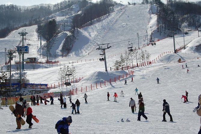 Ski Tour to Jisan Ski Resort from Seoul - Lunch On Your Own: Plan For Hunger, Not Surprises
