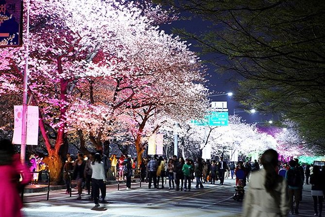 Small Group 7D Korea package Tour with Seoul Gyeongju Busan Jeju - Busan in One Day: Gamcheon, Jagalchi, Temples by the Sea, and Haeundae Blue Line