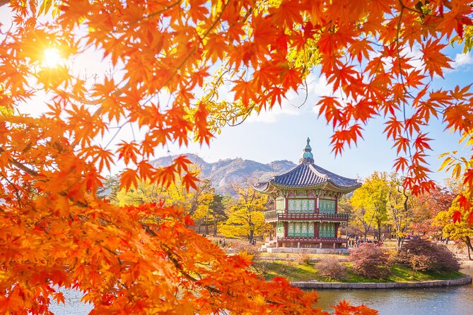 Small Group (7pax) Seoul Tour with Pickup/Dropoff (No Shopping) - Gyeongbokgung Palace: where the story becomes concrete