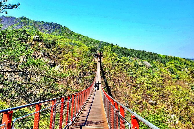 Small-Group DMZ Tour w/ North Korea Experience Hall & Susp.Bridge - Dora Observatory: Viewing North Korea Through Telescopes