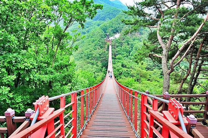 Small-Group DMZ Tour w/ North Korea Experience Hall & Susp.Bridge - Starting at City Hall Station, and Why the Coach Matters
