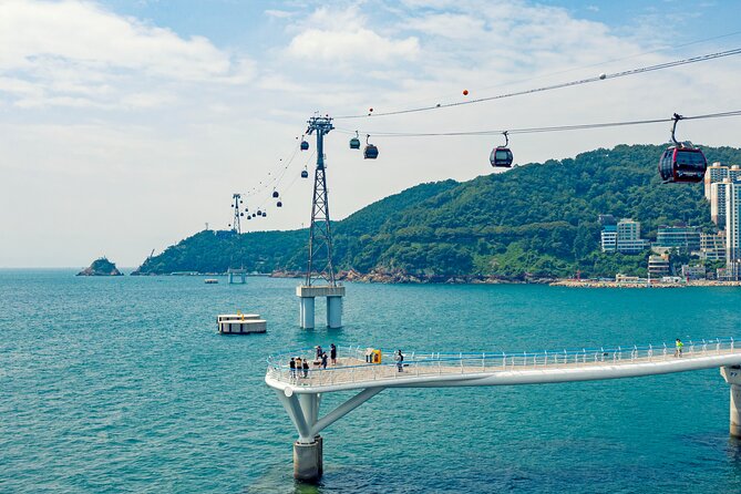 Small Group Full Day Busan Tour (Max 6 Pax) - Haedong Yonggungsa Temple and Gwangan Bridge Moments