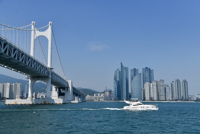 Small Group Full Day Busan Tour (Max 6 Pax) - Jagalchi Market, BIFF Square, and Gukje Market: Real Busan Energy