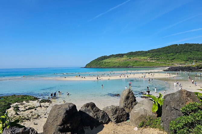 Small group Jeju private Full-Day Tour of East and South and West - Key reasons this Jeju day tour is a smart pick