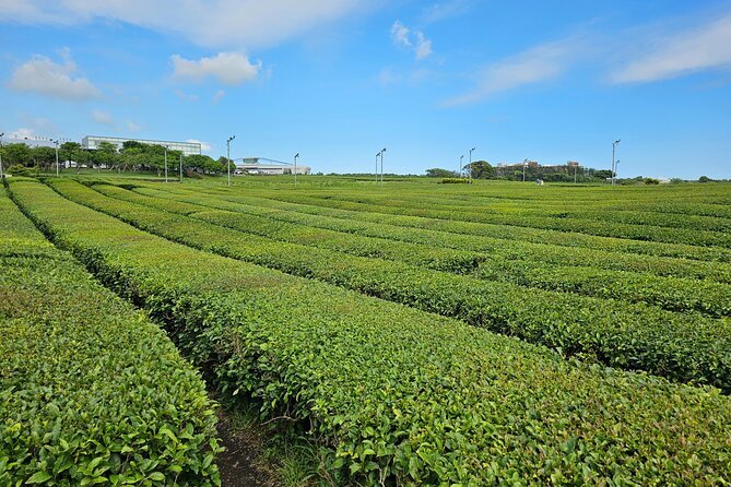 Small group Jeju private Full-Day Tour of East and South and West - Why this East, South and West route works