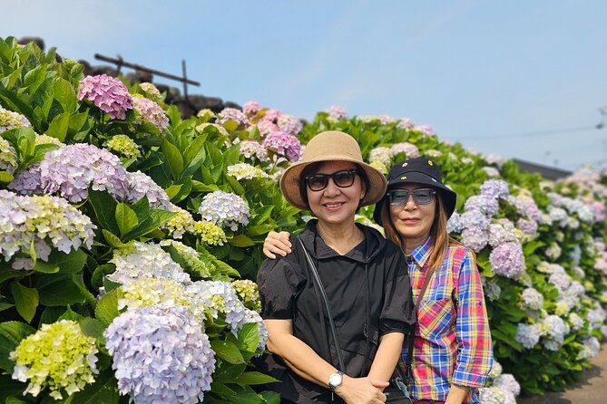 Small group Jeju private Full-Day Tour of East and South and West - Stop 1: O’sulloc Tea Museum, where the day starts calm