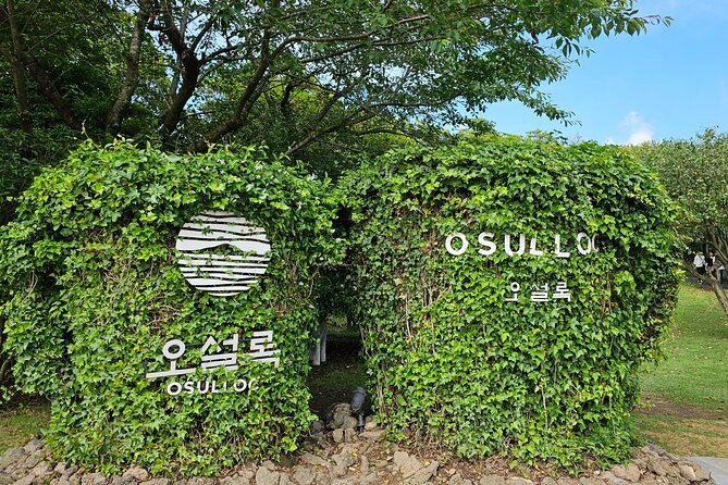 Small group Jeju private Full-Day Tour of East and South and West - Door-to-door pickup on Jeju: the hidden quality upgrade