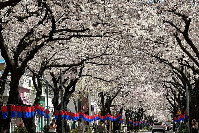 Small Group Tour East Jeju Cherry Blossom & Woman Diver Show - Price and logistics: what $120 gets you, and how the day flows