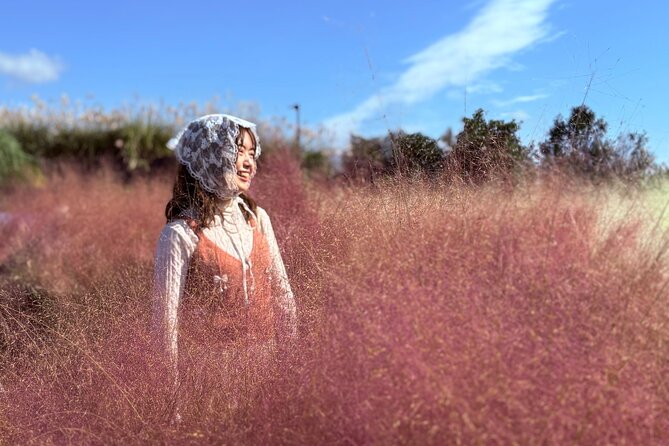 Small Group Tour for Jeju Fall Pink Muhly, Tangerines & Mt. Halla - Pickup timing and how the day fills up (9 hours is real)