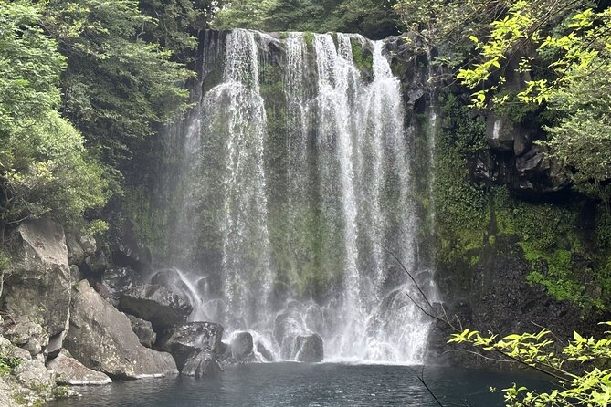Small Group Tour for Jeju Fall Pink Muhly, Tangerines & Mt. Halla - Cheonjeyeon Falls: legend, forest paths, and a slower pace