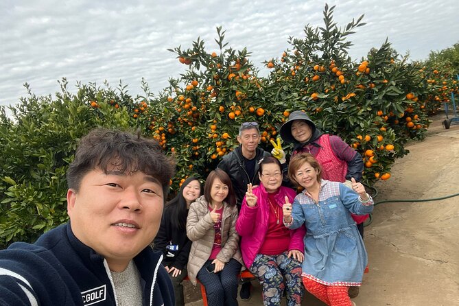 Small group tour FULL - PACKAGE Tour to All Areas in Jeju Island - Key things to know before you go