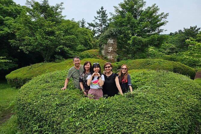 Small group tour FULL - PACKAGE Tour to All Areas in Jeju Island - Haenyeo Museum and Seongeup Folk Village: Jeju beyond rocks