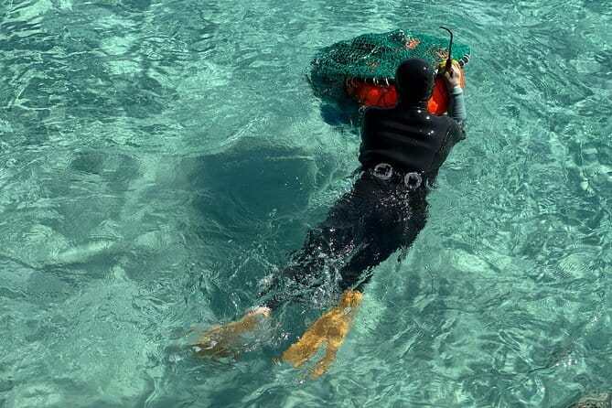 Small Group Tour in East Jeju Healing Island w/Woman Divers Show - A route that feels paced for healing, not racing
