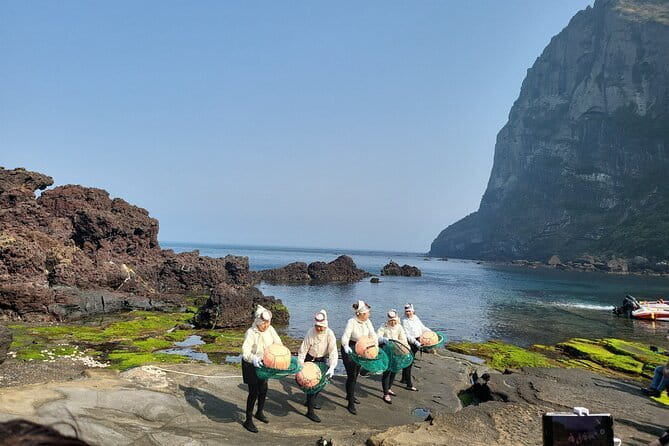 Small Group Tour in East Jeju Healing Island w/Woman Divers Show - Stop 2: Bijarim Forest, the “oxygen and phytoncides” break