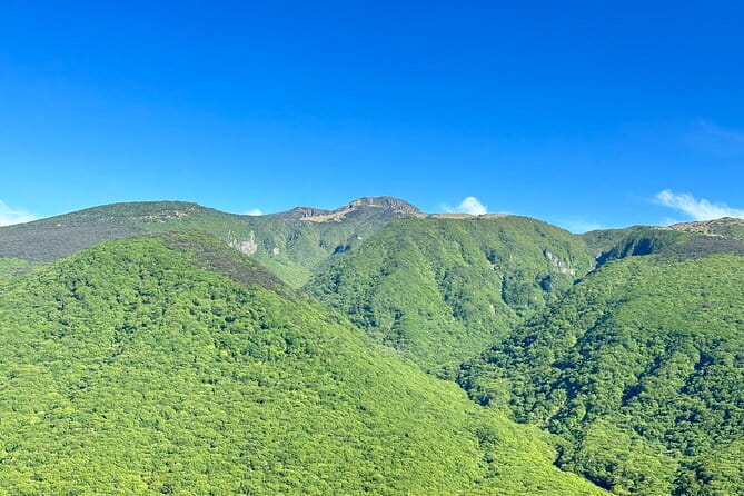 Small Group Tour in South Jeju Healing Island w/Mt. Halla & Falls - O’ Sulloc Tea Museum and Innisfree Jeju House: the day’s relaxing finish