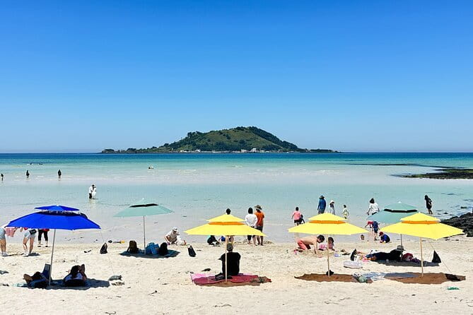 Small Group Tour in West Jeju Healing Island w/Caves & Dolphins - Key highlights at a glance