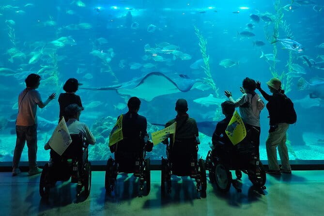 Small Group Tour in West Jeju Healing Island w/Caves & Dolphins - Hyeopjae Beach: a quick reset of sea color and sand