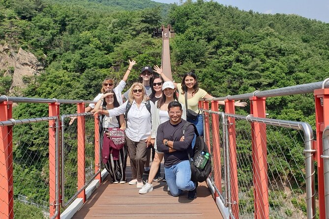 Small Group Tour to DMZ & Suspension Bridge with Hotel Pickup - DMZ Access With Civilian Control Zone Crossing: The Real Border Energy