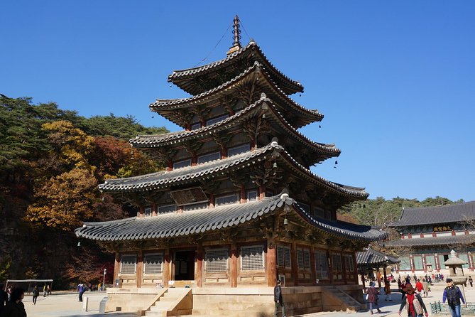 Songnisan National Park & Beopjusa Temple UNESCO site Private Tour - From Seoul to Songnisan: the drive that sets the day’s rhythm