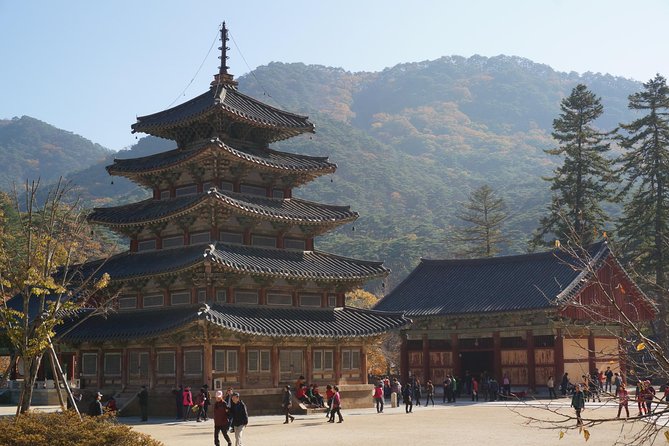Songnisan National Park & Beopjusa Temple UNESCO site Private Tour - Lunch that actually fits: late meal energy control