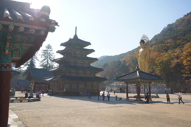 Songnisan National Park & Beopjusa Temple UNESCO site Private Tour - The guide experience: why Mr. Kim’s style matters