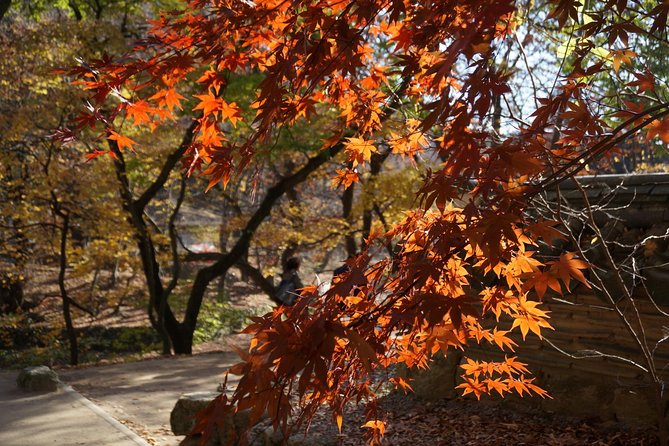 Songnisan National Park & Beopjusa Temple UNESCO site Private Tour - Value and pricing: what you get for $248 per person