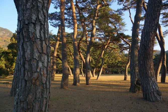Songnisan National Park & Beopjusa Temple UNESCO site Private Tour - Beopjusa Temple UNESCO time: spiritual spaces with breathing room
