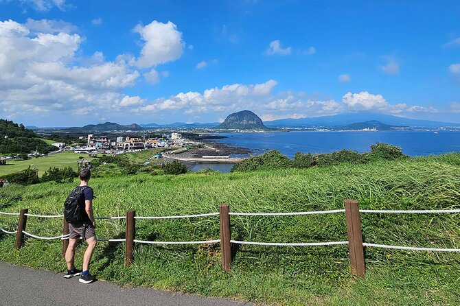 South-West Jeju Essentials: Hallasan & Signature Highlights - A fast way to cover southwest Jeju without a car
