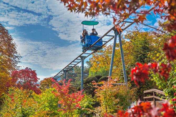 Special Private Tour Nami Island, Rail Bike, Petite France - Nami Island: drama-shot paths and a nature reset