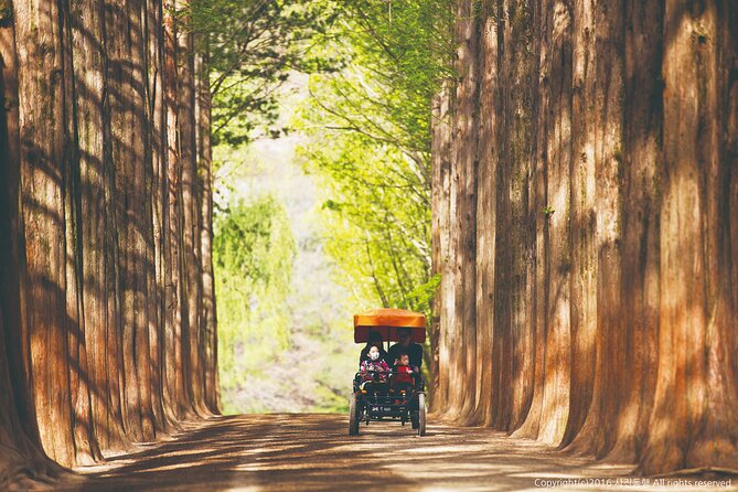 Special Private Tour Nami Island, Rail Bike, Petite France - 호원가든 chicken barbecue lunch: fuel without turning the day heavy