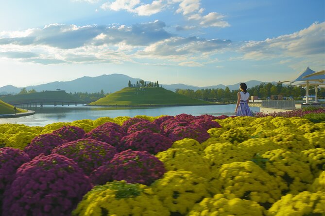 Suncheon and Yeosu Daily Private Tour with Pickup Service - Key highlights worth clocking