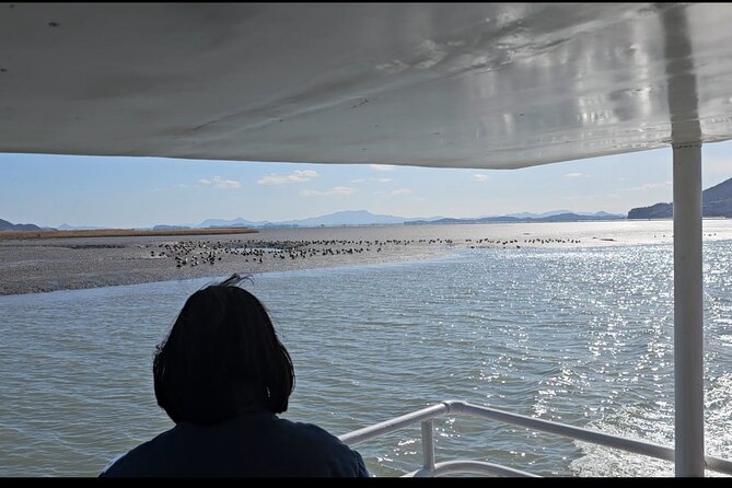 Suncheon and Yeosu Daily Private Tour with Pickup Service - Suncheon Bay Wetland Reserve: where wildlife and walking meet